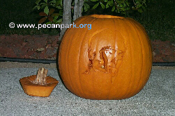 Unlit pumpkin carving in the likeness of Neel K. Sanghi